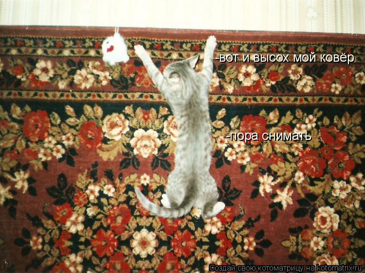 -вот и высох мой ковёр -пора снимать... Котоматрица: -вот и высох мой ковёр -пора снимать