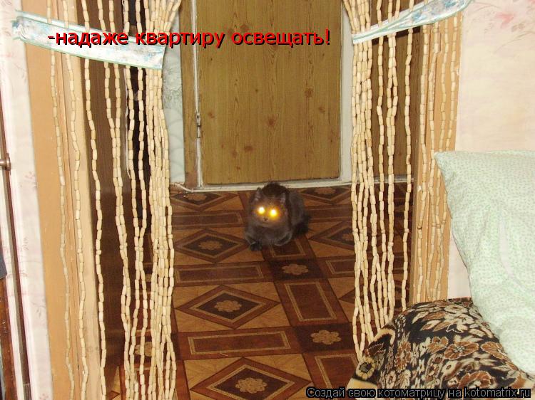 -надаже квартиру освещать!... Котоматрица: -надаже квартиру освещать!