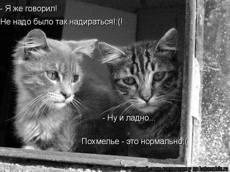 - Я же говорил! Не надо было так надираться!:(! - Ну и ладно... Похмелье - это нормально:(... Котоматрица: - Я же говорил! Не надо было так надираться!:(! - Ну и ладно... Похмелье - это нормально:(