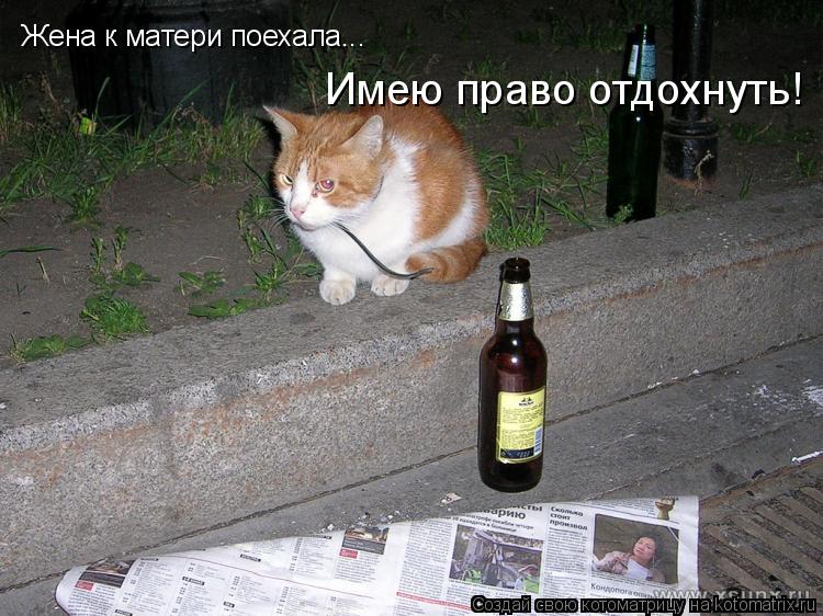 Жена к матери поехала... Имею право отдохнуть!... Котоматрица: Жена к матери поехала... Имею право отдохнуть!