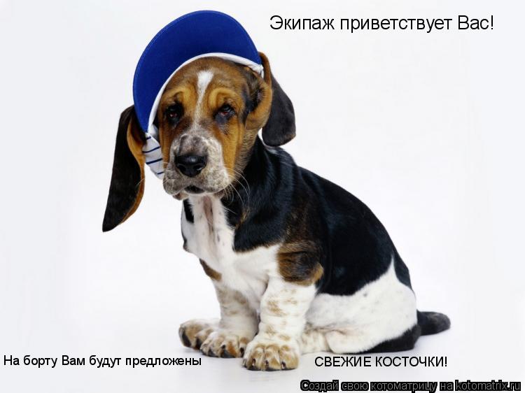 Экипаж приветствует Вас! На борту Вам будут предложены СВЕЖИЕ КОСТОЧКИ!... Котоматрица: Экипаж приветствует Вас! На борту Вам будут предложены СВЕЖИЕ КОСТОЧКИ!