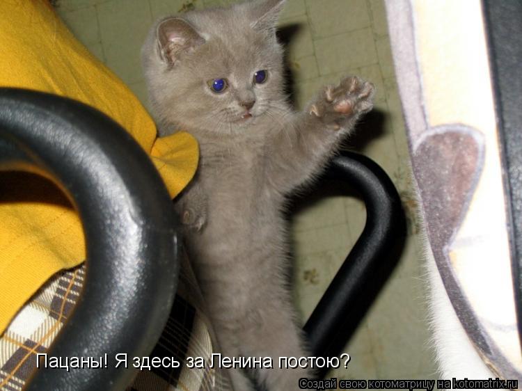 Пацаны! Я здесь за Ленина постою?... Котоматрица: Пацаны! Я здесь за Ленина постою?