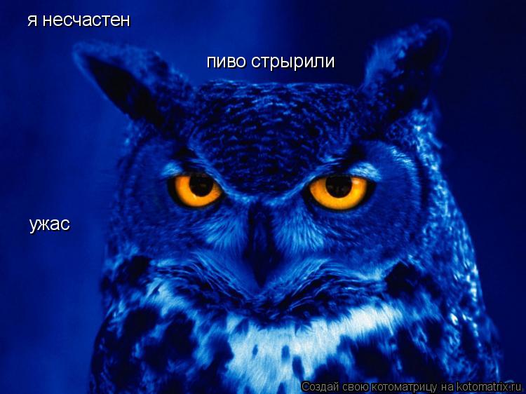 я несчастен пиво стрырили ужас... Котоматрица: я несчастен пиво стрырили ужас