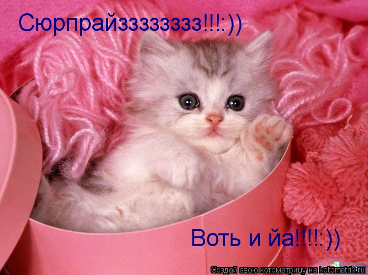 Сюрпрайзззззззз!!!:)) Воть и йа!!!!:))... Котоматрица: Сюрпрайзззззззз!!!:)) Воть и йа!!!!:))