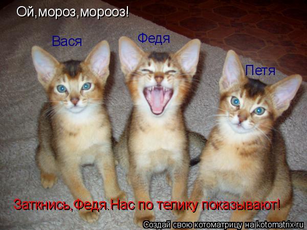 Ой,мороз,морооз! Заткнись,Федя.Нас по телику показывают! Федя Вася Петя... Котоматрица: Ой,мороз,морооз! Заткнись,Федя.Нас по телику показывают! Федя Вася Петя