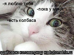 -я люблю тебя , -пока у меня -есть колбаса... Котоматрица: -я люблю тебя , -пока у меня -есть колбаса