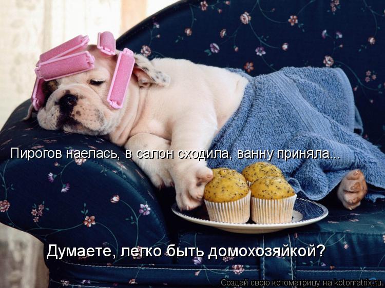 Пирогов наелась, в салон сходила, ванну приняла... Думаете, легко быть домохозяйкой?... Котоматрица: Пирогов наелась, в салон сходила, ванну приняла... Думаете, легко быть домохозяйкой?