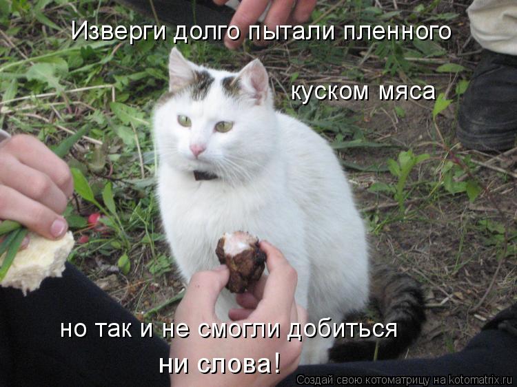 Изверги долго пытали пленного куском мяса но так и не смогли добиться ни слова!... Котоматрица: Изверги долго пытали пленного куском мяса но так и не смогли добиться ни слова!