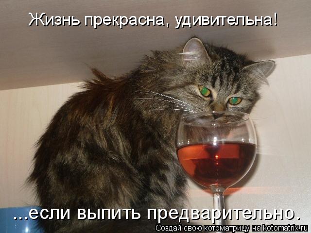 Жизнь прекрасна, удивительна! ...если выпить предварительно.... Котоматрица: Жизнь прекрасна, удивительна! ...если выпить предварительно.