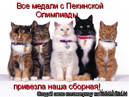 Все медали с Пекинской Олимпиады привезла наша сборная!... Котоматрица: Все медали с Пекинской Олимпиады привезла наша сборная!
