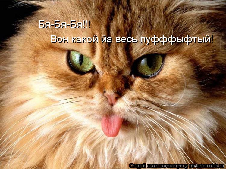 Бя-Бя-Бя!!! Вон какой йа весь пуфффыфтый!... Котоматрица: Бя-Бя-Бя!!! Вон какой йа весь пуфффыфтый!