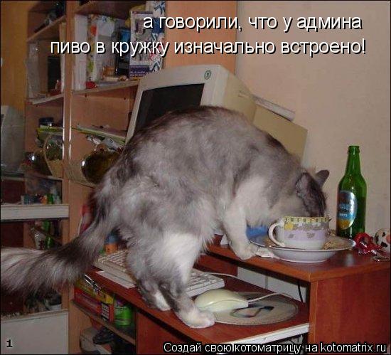 а говорили, что у админа пиво в кружку изначально встроено!... Котоматрица: а говорили, что у админа пиво в кружку изначально встроено!