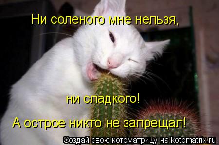 Ни соленого мне нельзя, ни сладкого! А острое никто не запрещал!... Котоматрица: Ни соленого мне нельзя, ни сладкого! А острое никто не запрещал!