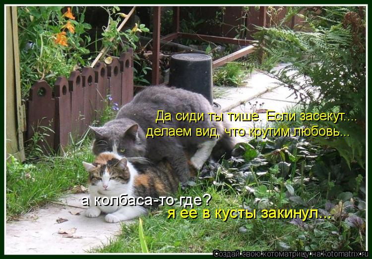 Да сиди ты тише. Если засекут.... делаем вид, что крутим любовь... а колбаса-то где? я ее в кусты зак... Котоматрица: Да сиди ты тише. Если засекут.... делаем вид, что крутим любовь... а колбаса-то где? я ее в кусты закинул...