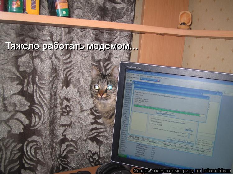 Тяжело работать модемом...... Котоматрица: Тяжело работать модемом...