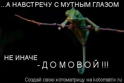 ...А НАВСТРЕЧУ С МУТНЫМ ГЛАЗОМ НЕ ИНАЧЕ - Д О М О В О Й !!!... Котоматрица: ...А НАВСТРЕЧУ С МУТНЫМ ГЛАЗОМ НЕ ИНАЧЕ - Д О М О В О Й !!!