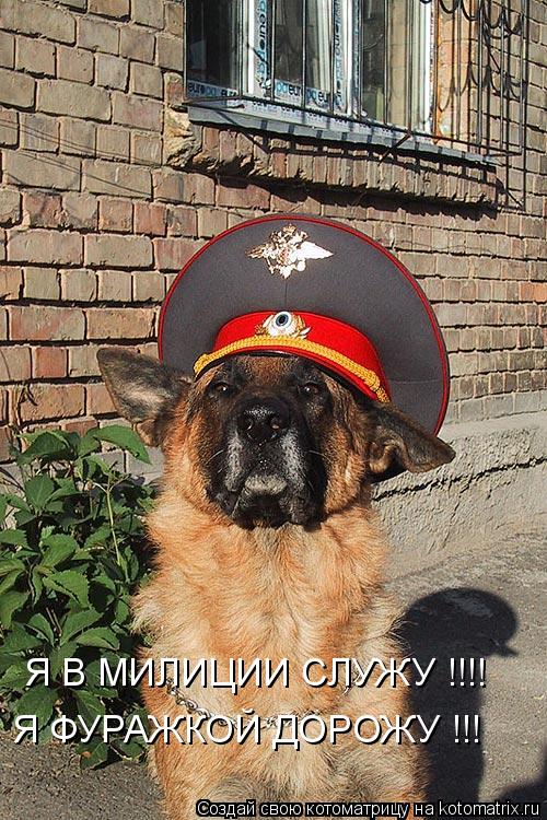 Я В МИЛИЦИИ СЛУЖУ !!!! Я ФУРАЖКОЙ ДОРОЖУ !!!... Котоматрица: Я В МИЛИЦИИ СЛУЖУ !!!! Я ФУРАЖКОЙ ДОРОЖУ !!!