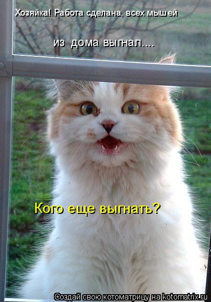 Хозяйка! Работа сделана, всех мышей Кого еще выгнать? из дома выгнал....... Котоматрица: Хозяйка! Работа сделана, всех мышей Кого еще выгнать? из дома выгнал....