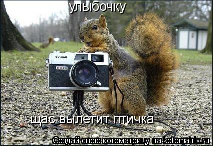 улыбочку щас вылетит птичка... Котоматрица: улыбочку щас вылетит птичка