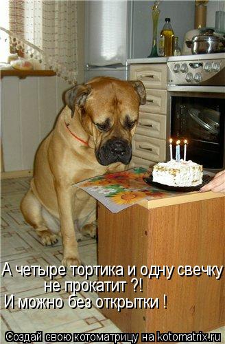 А четыре тортика и одну свечку - не прокатит ?! И можно без открытки !... Котоматрица: А четыре тортика и одну свечку - не прокатит ?! И можно без открытки !