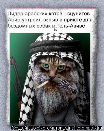 @... Котоматрица: @
