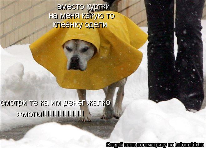 вместо куртки на меня какую то клеёнку одели смотри те ка им денег жалко жмоты!!!!!!!!!!!!!!!!!... Котоматрица: вместо куртки на меня какую то клеёнку одели смотри те ка им денег жалко жмоты!!!!!!!!!!!!!!!!!