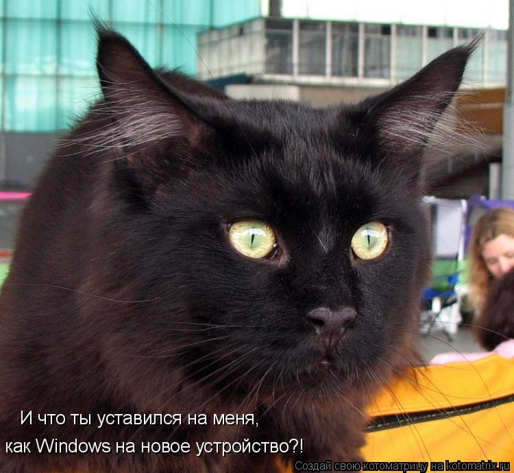 как Windows на новое устройство?! И что ты уставился на меня,... Котоматрица: как Windows на новое устройство?! И что ты уставился на меня,