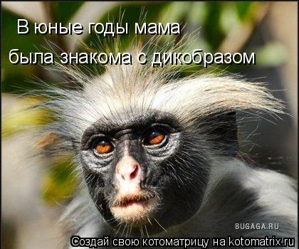 В юные годы мама была знакома с дикобразом... Котоматрица: В юные годы мама была знакома с дикобразом