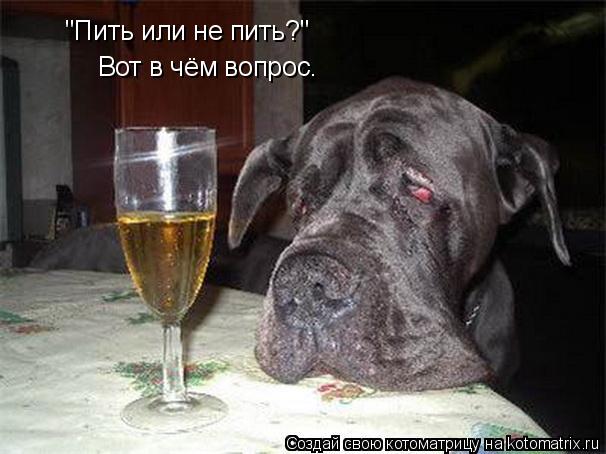 Как подарить долю в ООО - подарить долю в ООО Интернет-магазин необычных подарков - ЛЮБЛЮ ДАРИТЬ