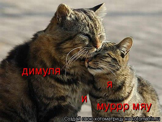 димуля и я муррр мяу... Котоматрица: димуля и я муррр мяу