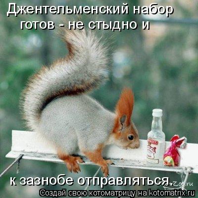 Джентельменский набор к зазнобе отправляться. готов - не стыдно и... Котоматрица: Джентельменский набор к зазнобе отправляться. готов - не стыдно и