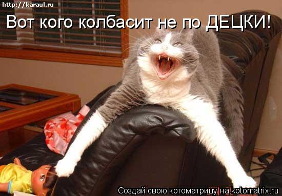Вот кого колбасит не по ДЕЦКИ!... Котоматрица: Вот кого колбасит не по ДЕЦКИ!