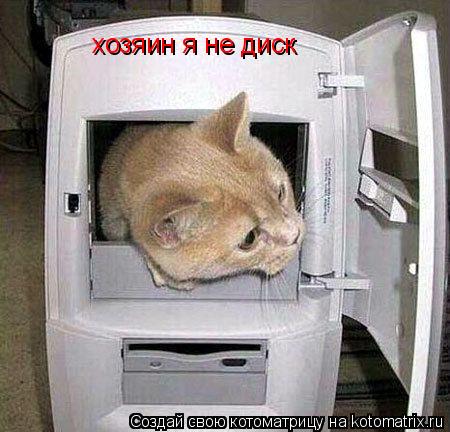 хозяин я не диск... Котоматрица: хозяин я не диск