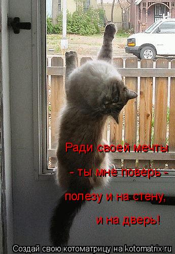 Ради своей мечты - ты мне поверь - полезу и на стену, и на дверь!... Котоматрица: Ради своей мечты - ты мне поверь - полезу и на стену, и на дверь!