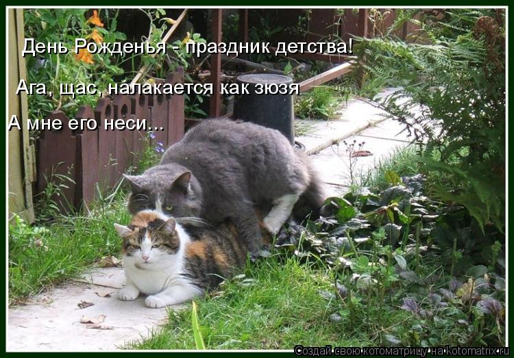 День Рожденья - праздник детства! А мне его неси... Ага, щас, налакается как зюзя... Котоматрица: День Рожденья - праздник детства! А мне его неси... Ага, щас, налакается как зюзя