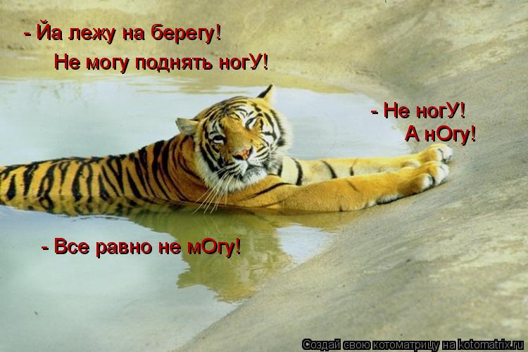 - Йа лежу на берегу! Не могу поднять ногУ! - Не ногУ! А нОгу! - Все равно не мОгу!... Котоматрица: - Йа лежу на берегу! Не могу поднять ногУ! - Не ногУ! А нОгу! - Все равно не мОгу!