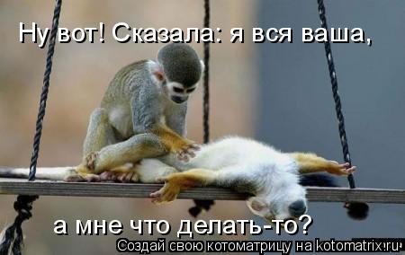 Котоматрица: Ну вот! Сказала: я вся ваша, а мне что делать-то?