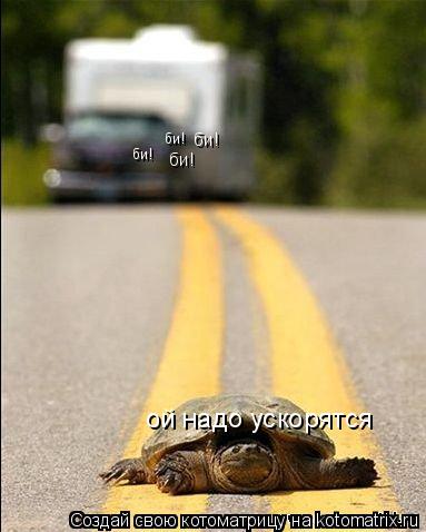 ой надо ускорятся би! би! би! би!... Котоматрица: ой надо ускорятся би! би! би! би!