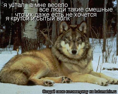 я устал а мне весело все люди такие смешные что их даже есть не хочется я крутой и сытый волк... Котоматрица: я устал а мне весело все люди такие смешные что их даже есть не хочется я крутой и сытый волк