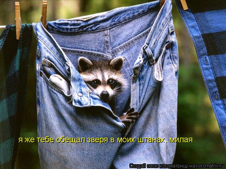я же тебе обещал зверя в моих штанах, милая... Котоматрица: я же тебе обещал зверя в моих штанах, милая