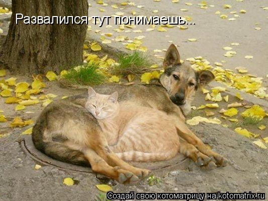 Развалился тут понимаешь...... Котоматрица: Развалился тут понимаешь...