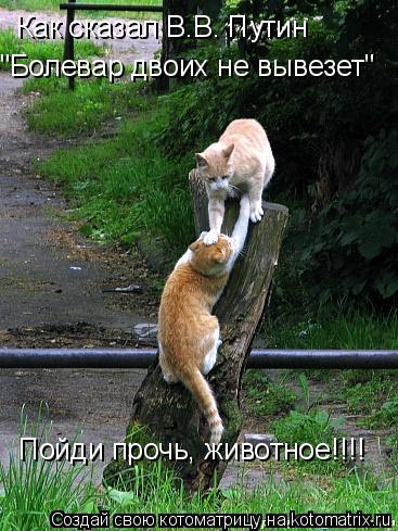 "Болевар двоих не вывезет" Пойди прочь, животное!!!! Как сказал В.В. Путин... Котоматрица: "Болевар двоих не вывезет" Пойди прочь, животное!!!! Как сказал В.В. Путин