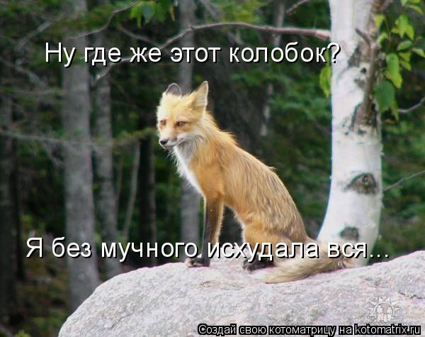 Ну где же этот колобок? Я без мучного исхудала вся...... Котоматрица: Ну где же этот колобок? Я без мучного исхудала вся...