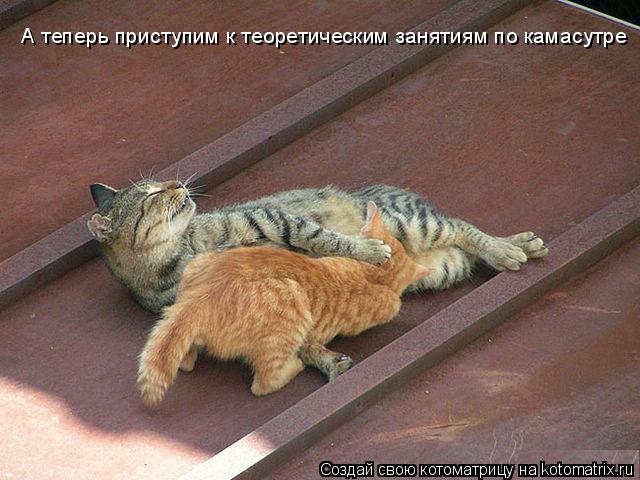 А теперь приступим к теоретическим занятиям по камасутре... Котоматрица: А теперь приступим к теоретическим занятиям по камасутре