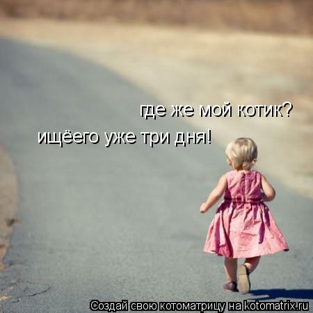 где же мой котик? ищёего уже три дня!... Котоматрица: где же мой котик? ищёего уже три дня!