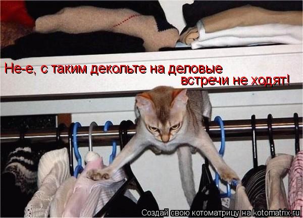 Не-е, с таким декольте на деловые встречи не ходят!... Котоматрица: Не-е, с таким декольте на деловые встречи не ходят!