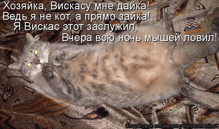 Хозяйка, Вискасу мне дайка! Ведь я не кот, а прямо зайка! Я Вискас этот заслужил, Вчера всю ночь мыше... Котоматрица: Хозяйка, Вискасу мне дайка! Ведь я не кот, а прямо зайка! Я Вискас этот заслужил, Вчера всю ночь мышей ловил!