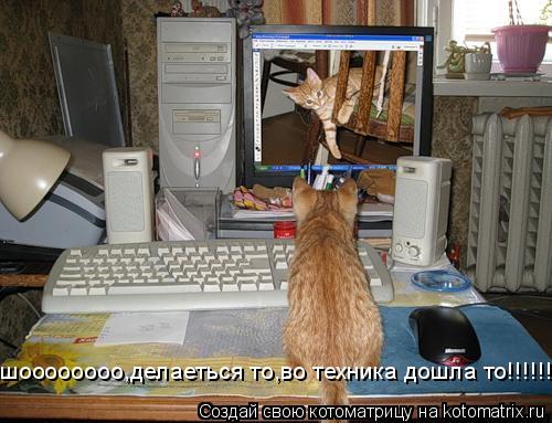 шоооооооо,делаеться то,во техника дошла то!!!!!!!!... Котоматрица: шоооооооо,делаеться то,во техника дошла то!!!!!!!!