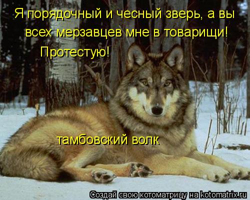 тамбовский волк Я порядочный и чесный зверь, а вы всех мерзавцев мне в товарищи! Протестую!... Котоматрица: тамбовский волк Я порядочный и чесный зверь, а вы всех мерзавцев мне в товарищи! Протестую!