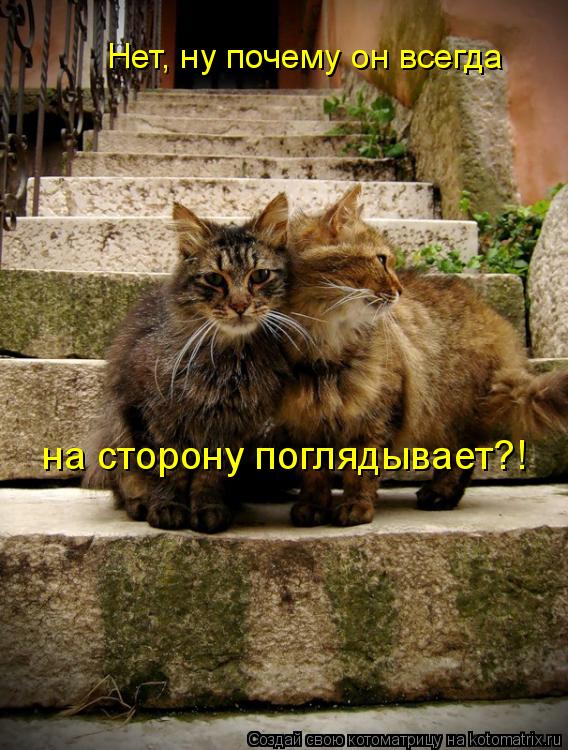 Нет, ну почему он всегда на сторону поглядывает?!... Котоматрица: Нет, ну почему он всегда на сторону поглядывает?!